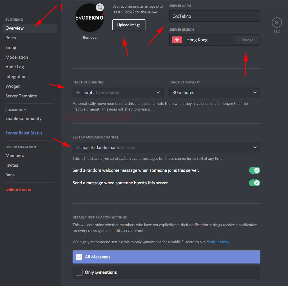 Overview Server - Discord