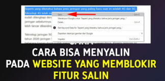 Cara Copy Paste Pada Website Yang Memblokir Fitur Copy