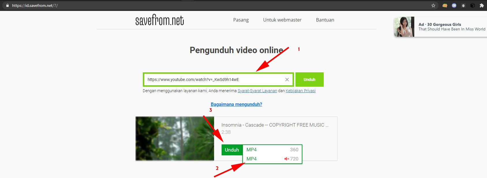 Halaman Utama SaveFrom net - Download Video YouTube