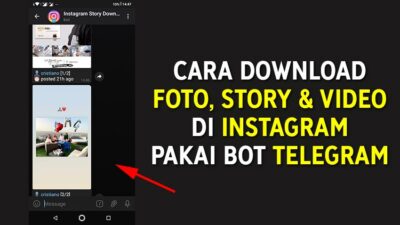 Cara Download Foto, Story dan Video di Instagram Pakai Bot  