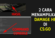 Cara Menampilkan HP Musuh di CSGO Damage Given Taken