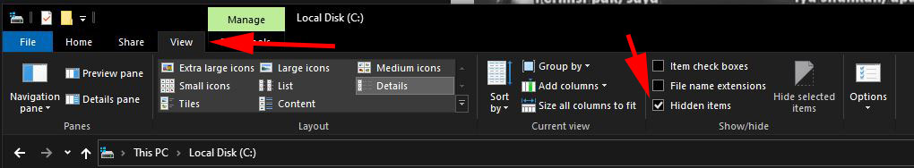 File Exlpoler - View - Hidden Items