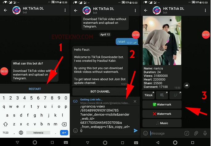 Cara Download Video TikTok Pakai Bot Telegram - EvoTekno
