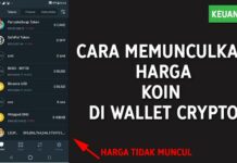 Cara Mengatasi Harga Koin Micin Tidak Muncul di Wallet Kripto