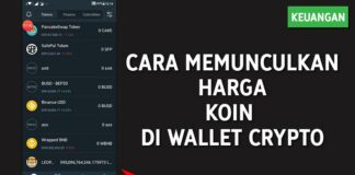 Cara Mengatasi Harga Koin Micin Tidak Muncul di Wallet Kripto