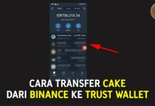 Cara Transfer CAKE dari Binance ke Trust Wallet