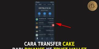 Cara Transfer CAKE dari Binance ke Trust Wallet