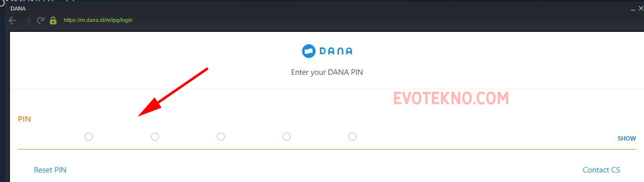 PIN DANA - Steam