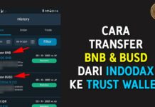 Cara Transfer BNB & BUSD dari Indodax ke Trust Wallet
