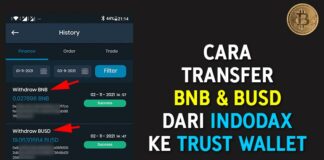 Cara Transfer BNB & BUSD dari Indodax ke Trust Wallet