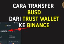 Cara Transfer BUSD dari Trust Wallet ke Binance