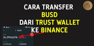 Cara Transfer BUSD dari Trust Wallet ke Binance