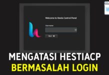 Mengatasi HestiaCP bermasalah Login