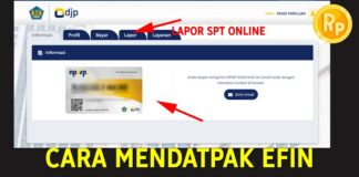 Cara Mendapatkan EFIN dan Registrasi DJP Online Pajak