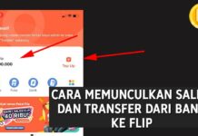 Cara Menampilkan Saldo, dan Cara Transfer dari Bank ke Flip