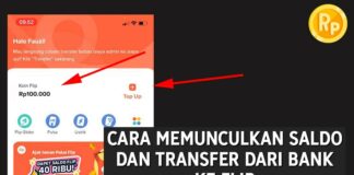 Cara Menampilkan Saldo, dan Cara Transfer dari Bank ke Flip