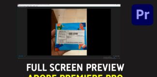 Cara Full Screen Preview Video di Adobe Premiere Pro