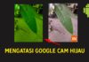 2 Cara Mengatasi Google Camera Hasil Fotonya Hijau