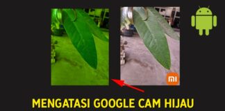 2 Cara Mengatasi Google Camera Hasil Fotonya Hijau