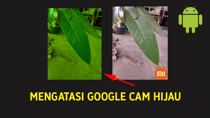 2 Cara Mengatasi Google Camera Hasil Fotonya Hijau