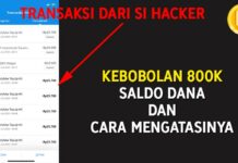 Pengalaman Kebobolan dan Mengatasi Saldo DANA Hilang Rp 800.000!