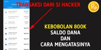 Pengalaman Kebobolan dan Mengatasi Saldo DANA Hilang Rp 800.000!