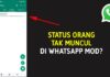 Mengatasi Status Orang Tak Muncul di WhatsApp GB (WA Mod)