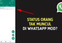 Mengatasi Status Orang Tak Muncul di WhatsApp GB (WA Mod)