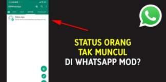 Mengatasi Status Orang Tak Muncul di WhatsApp GB (WA Mod)