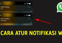 3 Cara Menonaktifkan Notifikasi WhatsApp di iPhone (iOS) + Sembunyikan Isi Chat