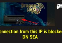 Cara Mengatasi Connection from this IP is blocked Pada Dragon Nest SEA, Gratis Tanpa VPN
