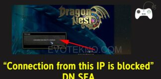 Cara Mengatasi Connection from this IP is blocked Pada Dragon Nest SEA, Gratis Tanpa VPN