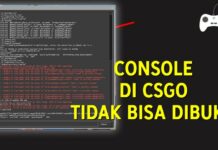 Cara Mengatasi Console Tidak Bisa Dibuka di CSGO