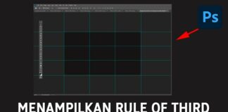 Cara Menampilkan Garis GridNah Rule of Third di Photostop
