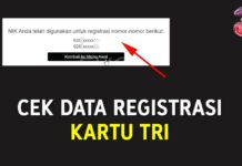 2 Cara Cek Data Registrasi Tri (NIK KTP)