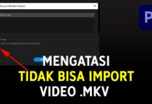 2 Cara Mengatasi Tidak Bisa Import Video .mkv di Adobe Premiere Pro