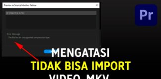 2 Cara Mengatasi Tidak Bisa Import Video .mkv di Adobe Premiere Pro