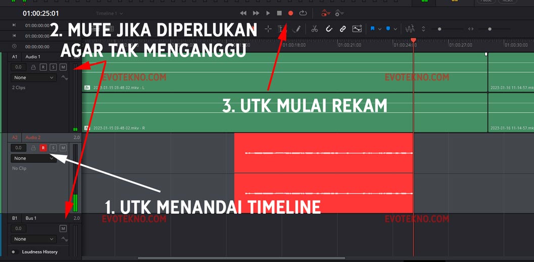 Arm for Record - Rekam Suara - Voice Over Davinci Resolve