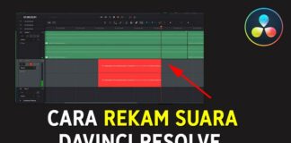 Cara Rekam Suara (Voice Over) di Davinci Resolve