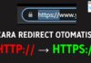 Cara Auto Redirect dari HTTP ke HTTPS Website (CPanel)