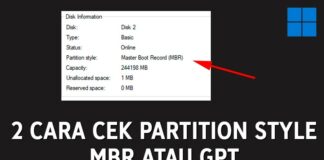 2 Cara Cek Partisi GPT atau MBR Pada Storage Kita (Windows)