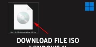 Cara Download File ISO Windows 11