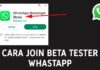 Cara Install WhatsApp Beta Secara Resmi (Join Beta Tester WA)